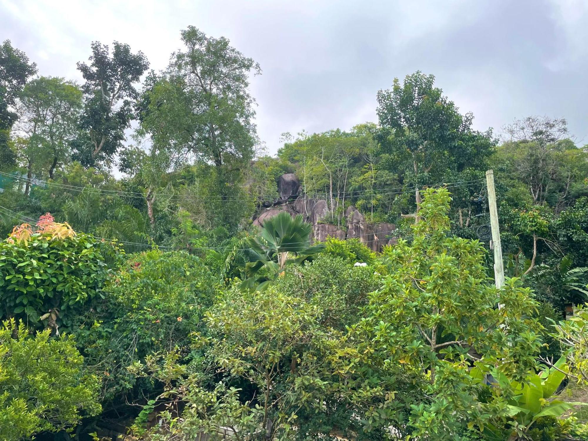 Belle Montagne Holiday Apartments Grand Anse  Buitenkant foto