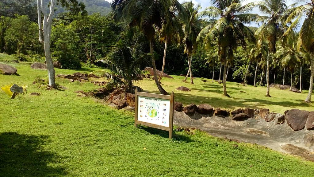 Belle Montagne Holiday Apartments Grand Anse  Buitenkant foto