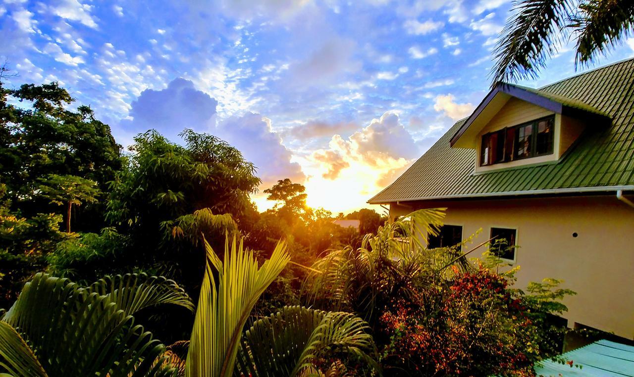 Belle Montagne Holiday Apartments Grand Anse  Buitenkant foto