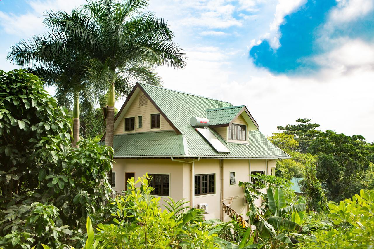 Belle Montagne Holiday Apartments Grand Anse  Buitenkant foto